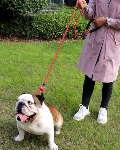 TagME 6ft Slip Dog Lead, No Pull Reflective Training Leash with Padded Handle, Professional Rope P-Leash for Small Medium Large Dogs, Heavy Duty Correction Lead for Walking & Training (Red)