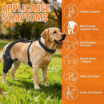 Dog Brace for Back Leg for Support – Breathable Adjustable Dog ACL Knee Brace with Hot/Cold Compress Gel Pack for Arthritis, Swelling & Joint Pain Relief, Right Leg, Size M