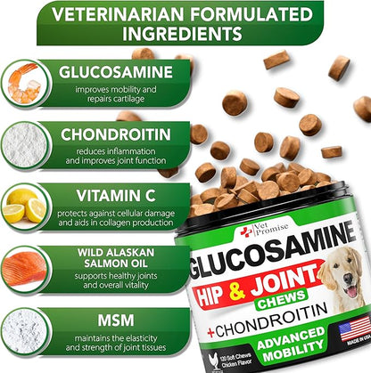 Vet Promise Glucosamine for Dogs - Hip and Joint Supplement for Dogs - Glucosamine Chondroitin - Joint Pain Relief Pills - MSM - Advanced Health Support Supplement - 120 Mobility Chews - Made in USA