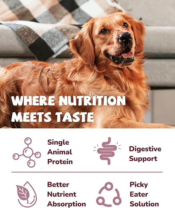 PAWUP Freeze Dried Duck Dog Food Topper – Sensitive Stomach & Hypoallergenic Formula, High Protein Grain-Free Dog Treats and Meal Topper for Picky Eaters, 14 oz