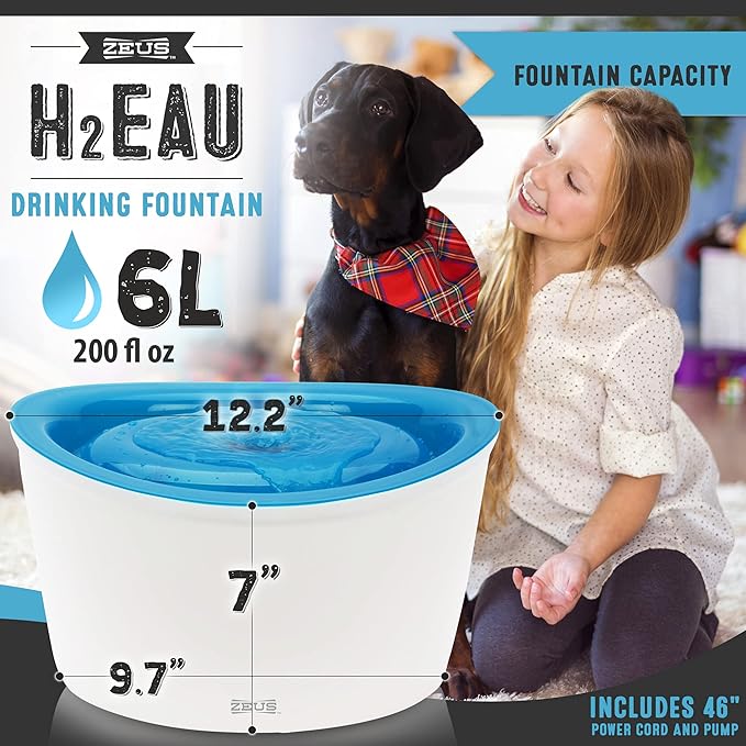 Zeus Fresh & Clear Elevated Dog and Cat Water Dispenser, Large Drinking Water Fountain with Purifying Filter, 6L Capacity, 1 Count (Pack of 1)