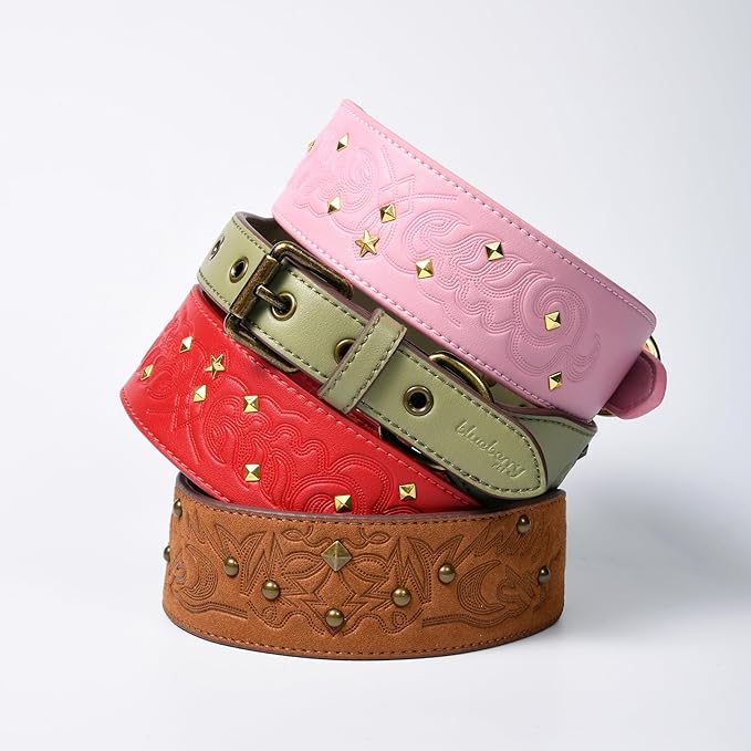Blueberry Pet Premium Embossed Pink Glam Silver-Powered Freshness Microfiber Leather Dog Collar with Gold Studs