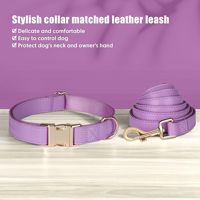 PET ARTIST Soft PU Leather Dog Collar and Leash Set, Bright & Stylish 5FT PU Leather Leash and Collar Set, Durable Pet Collars with Quick Release Metal Buckle for Large Dogs,Purple,L(16-27")