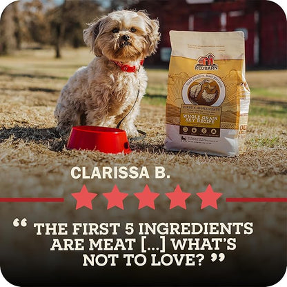 Redbarn Grain-Free Large Breed Dog Food Kibble - Beef & Lamb Recipe - Made in USA No Chicken Recipe with Functional Ingredients to Support Healthy Heart, Joints, Digestion, Skin & Coat - 28lb