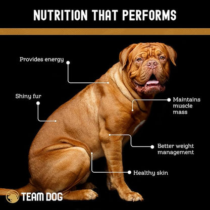 Team Dog Freeze Dried Turkey Dog Treats for Training | Healthy Gluten Free, Grain Free Dog Treats | No Added Fillers, Flavoring or by-Products | for All Breeds & Sizes | 5.2 Oz Turkey Bites
