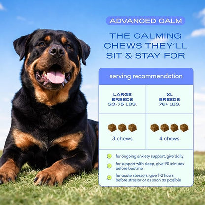 Native Pet Advanced Calming Chews for Dogs Large Breed - Anxiety Relief, Stress, Separation & Sleep Support with Melatonin for Dogs, Hydrolyzed Casein, Valerian Root & L-Tryptophan - 30 Days Supply