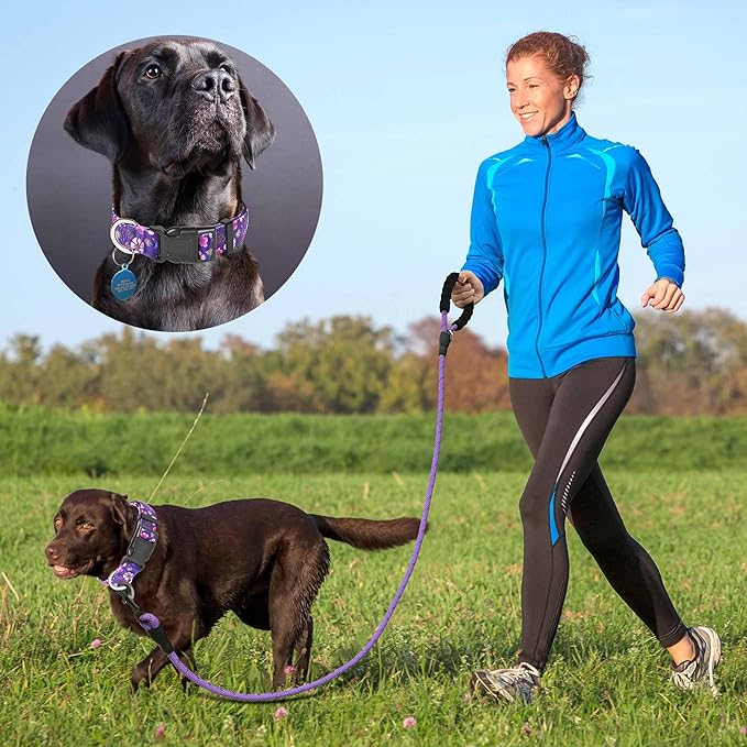 Ladoogo Reflective Dog Collar Padded with Soft Neoprene Breathable Adjustable Nylon Dog Collars for Small Medium Large Dogs (Large (Pack of 1), Purple/Pink Floral Collar+Leash)