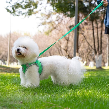 Dog Harness and Leash Set, No Pull Pet Harness for Small Dogs Easy Walking,Soft Breathable Small Dog Harness,Adjustable Reflective Step in Vest Harness for Puppy ,kitten, Cats