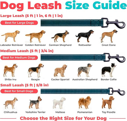 Best Pet Supplies Voyager Reflective Dog Leash or Collar with Neoprene Handle, for Small, Medium, and Large Breed Puppies, Cute and Heavy Duty for Walking, Running and Training - Blue (Leash), L