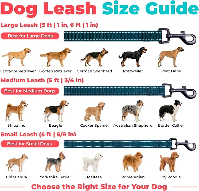 Best Pet Supplies Voyager Reflective Dog Leash or Collar with Neoprene Handle, for Small, Medium, and Large Breed Puppies, Cute and Heavy Duty for Walking, Running and Training - Blue (Leash), M