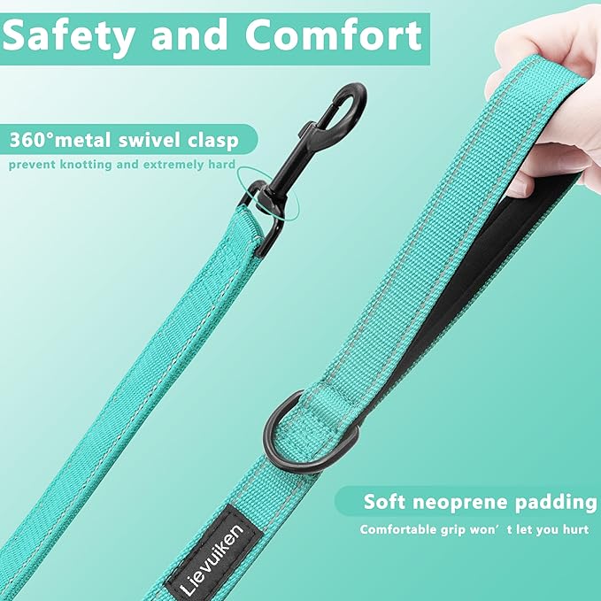 Dog Leash 5ft Long, Double Handle Dog Leash for Safety Control Training, Heavy Duty Dog Leads with Traffic Padded Handles, Reflective Leashes for Small Medium Large Dogs(5ft, Turquoise)