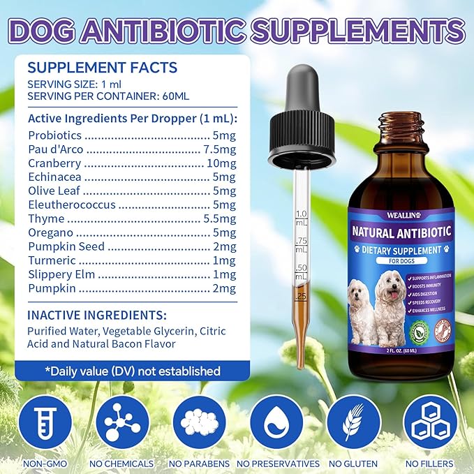 Dog Antibiotics Support - 2PCS Natural Antibiotics Care for Dogs Herbal Supplement for Cough Allergy Itch Relief Immune Support Dog UTI Comfort for All Breeds & Ages - 120 ml/4 Fl Oz Bacon Flavor