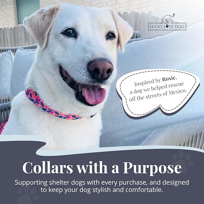 Lucky Love Dog - Easy Click Buckle Dog Collar with Leash Set Combo, Durable & Comfortable for Male & Female Dogs, Pet Collar for Large Dogs, Secure Fit - Floral Rosie Combo, Large