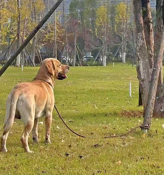 Tie Out Rope Dog Leash, Long Tether 8-10-13-15-20-25-30-35-40-50-65 FT Nylon Check Cord for Medium Large Dogs Indoor/Outdoor Playing Camping Backyard (Black, 3/8" x 40ft)