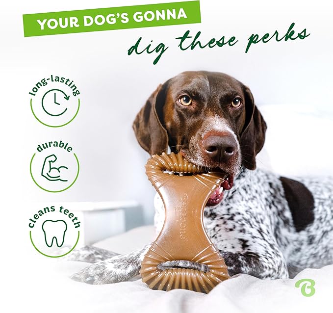 Benebone Dental Durable Dog Chew Toy for Aggressive Chewers, Real Bacon, Made in USA, Large