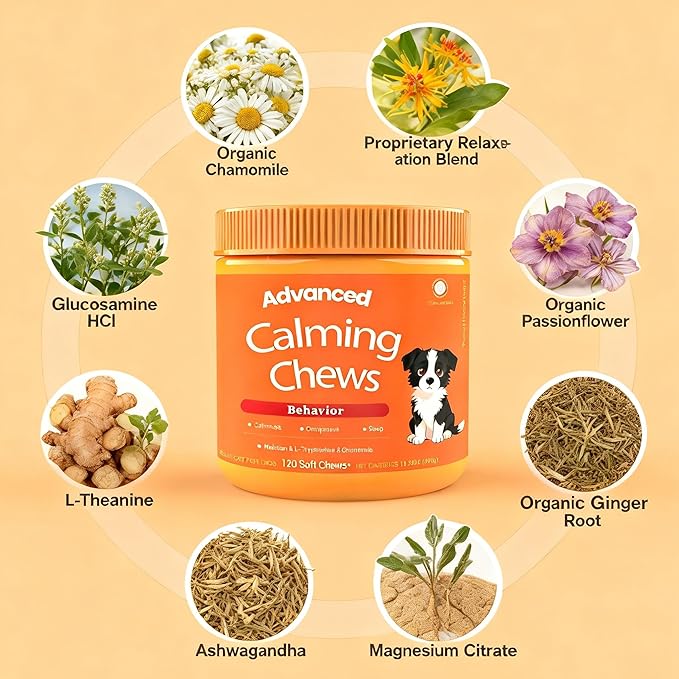 Calming Chews for Dogs - for Everyday Stress, Relaxation, Composure, and Separation Chicken Flavor 120 Count