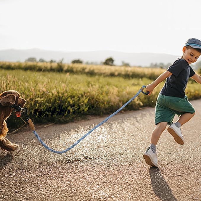Mile High Life Rope Leash with Genuine Leather Connection, 6 FT/5 FT/4 FT, Heavy Duty Leash for Medium & Large Dogs (Blue White, 72 Inch)