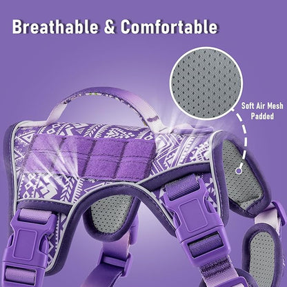 AUNZO Dog Harness for X-Small Dog Breed, Light Pet Vest Harness with 2 Leash Clips and 3 Buckles, Easy to Wear, Adjustable Reflective Soft Padded, Boston Terrier, Beagle, Poodles, XS