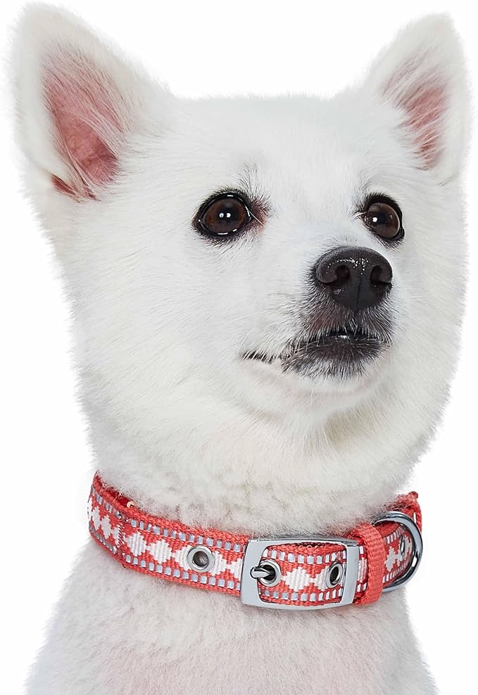 Blueberry Pet Reflective Jacquard Dog Collar with Neoprene Padding & Metal Buckle | Soft & Adjustable Safety Collar - Coral, Neck 9-12.5", for Small Breed