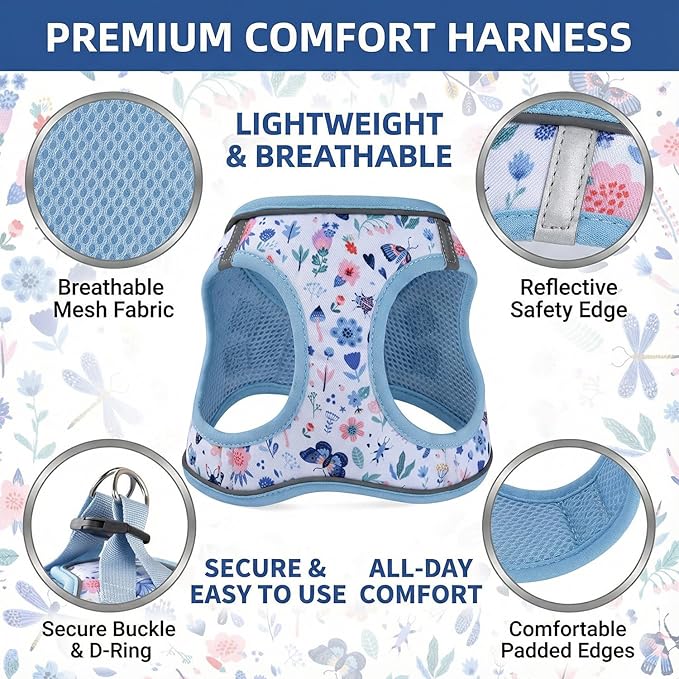 Mihqy Step in Dog Harness and Leash Set, Reflective Adjustable No Pull Dog Harness for Extra-Small/Small Dogs Puppy and Cats, Soft Padded Mesh Vest Harnesses for Girl and Boy Pets(Cute Insect,XXS)