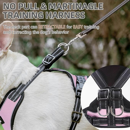 PUPTECK Dog Harness and Leash Set Small Sized, Adjustable Reflective Escape Proof Puppy Vest, No Pull Walking Harness Easy Control
