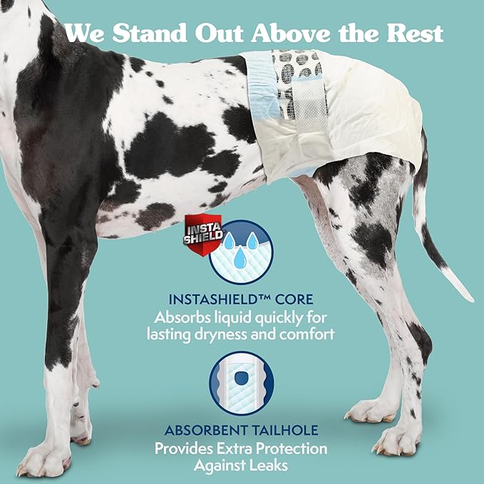 Simple Solution Dog Diapers Female, Dog Diapers, Potty Training, Super Absorbent, Breathable, Wetness Indicator for Urination, 22-37 Inch Waist, (XXL, 30ct)