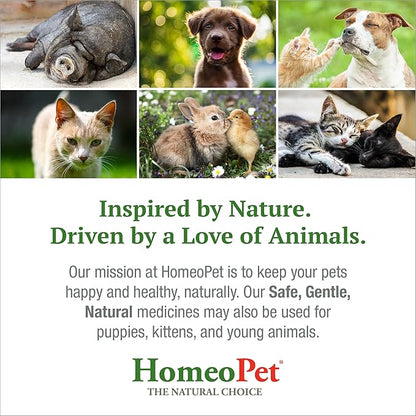 HomeoPet UTI+ Urinary Tract Relief, Safe and Natural Dog and Cat UTI Supplement, 15 Milliliters
