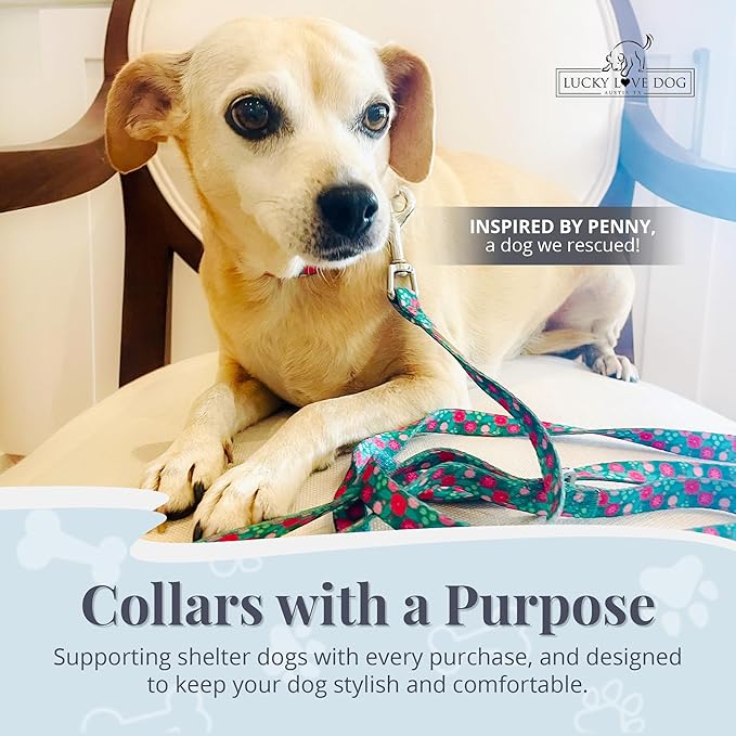 Lucky Love Dog - Adjustable Dog Collar with Easy Click Buckle for Large Dogs, Durable, & Comfortable for Male & Female Dogs, Pet Collar for Puppies & Adult Ones - Penny, Large