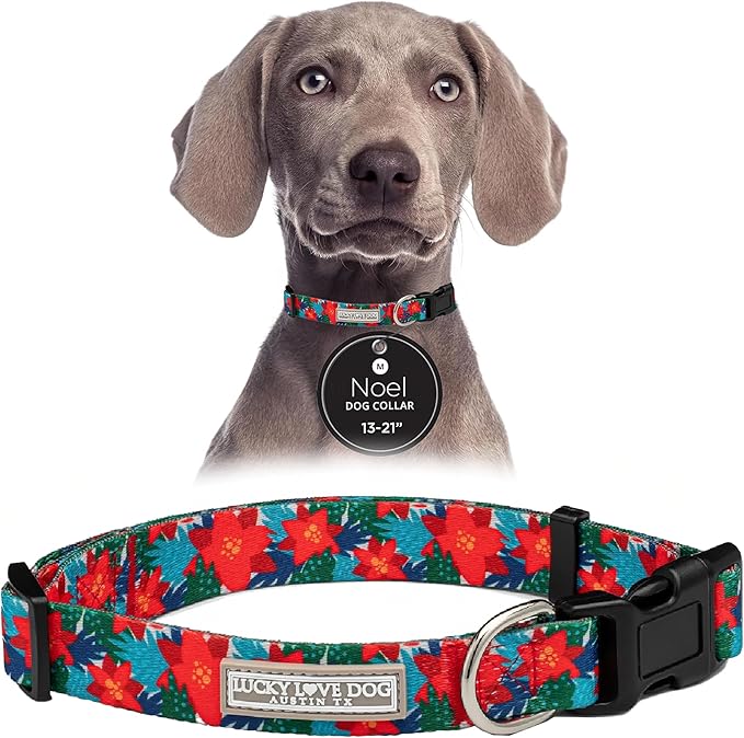 Lucky Love Dog - Adjustable Dog Collar with Easy Click Noel for Medium, Durable, & Comfortable for Male & Female Dogs, Pet Collar for Puppies & Adult Dogs - Noel, Medium