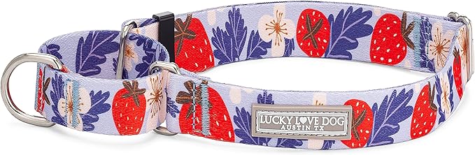 Lucky Love Dog Martingale Collar, Premium Fun Girl No Slip Collars, Strawberry Martingale Medium Dog Collar, Great for Whippets, Greyhounds, and More (Sweet Berry, Medium)