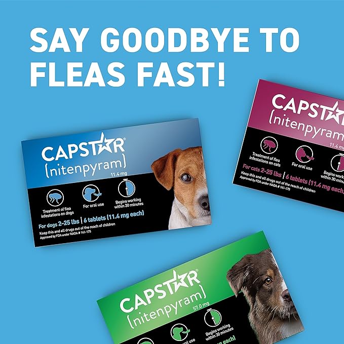 Capstar (Nitenpyram) Fast-Acting Oral Flea Treatment for Dogs 2-25 Lbs, Vet-Recommended Medication Tablets, Flea Tablets for Dogs Start Killing in 30 Minutes, 12 Doses (Includes Two 6-Count Boxes)