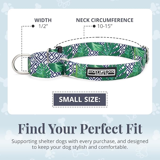 Lucky Love Dog Martingale Collar, Premium No Slip Martingale Collar for Small Boy Dogs, Great for Whippets, Greyhounds, and More (Small, Blue Laguna)