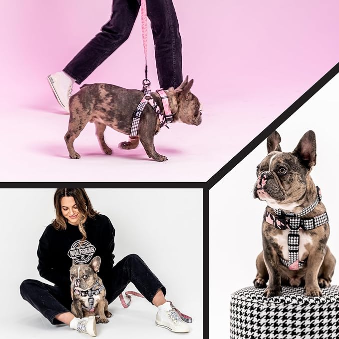Wolfgang Heavy Duty Adjustable Dog Harness, Pull-Tested to Over 800 lbs for Walking & Training, HoundsPink Print, Small