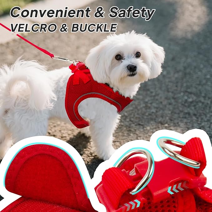 PetiFine Step in Small Dog Harness and Leash Set, Breathable All Weather Air Mesh Reflective Escape Proof, Step-in Vest Harnesses for Puppy(XS, Red)