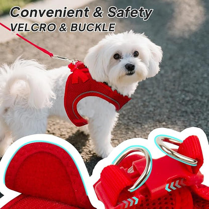 PetiFine Step in Small Dog Harness and Leash Set, Breathable All Weather Air Mesh Reflective Escape Proof, Step-in Vest Harnesses for Puppy(XS, Red)