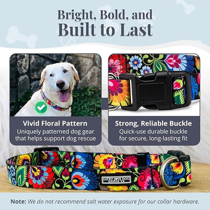 Lucky Love Dog - Adjustable Dog Collar with Easy Click Buckle for Small Dogs, Durable, & Comfortable for Male & Female Dogs, Pet Collar for Puppies & Adult Dogs - Blackbird, Small