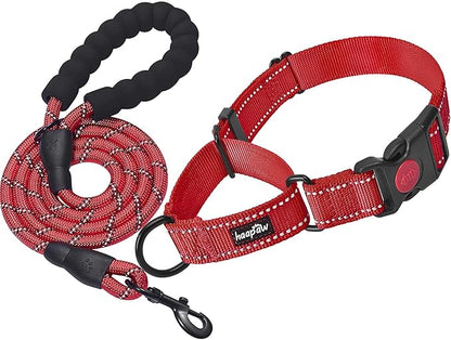 haapaw Martingale Dog Collar with Quick Release Buckle Reflective Dog Training Collars for Small Medium Large Dogs