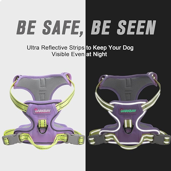 BARKBAY No Pull Dog Harness Front Clip Heavy Duty Reflective Easy Control Handle for Large Dog Walking(Violet Purple & Sunlight,XS)