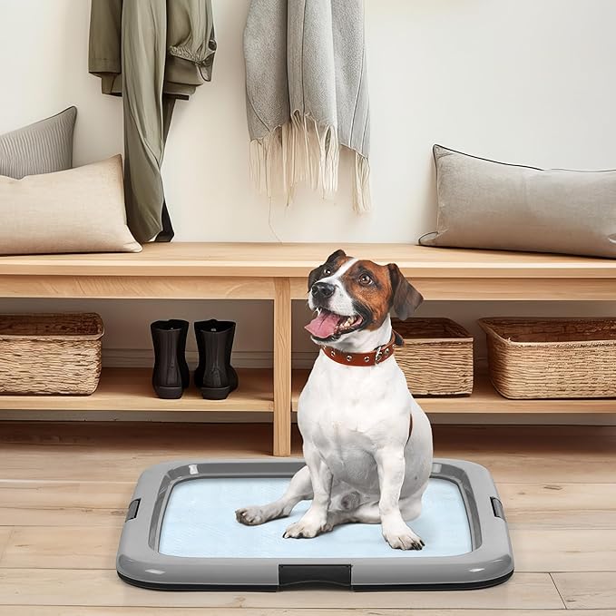 IRIS USA Pee Pad Holder for Dogs and Puppies, Potty Training Tray with Secured Latches, Non-Skid Feet, Leak Protection, Easy Clean Surface, Fits 22"x 22" Puppy Pads Size or Larger, 2 Pack, Black/Gray