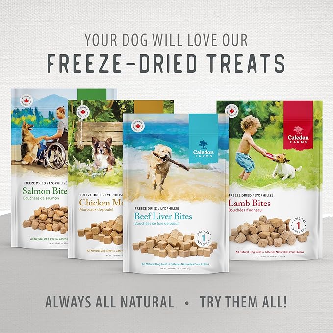 Caledon Farms Freeze Dried Dog Treats - Salmon 3.2OZ