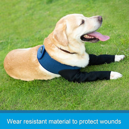 Coodeo Dog Recovery Sleeves, Cone Collar Alternative, Abrasion Resistant Dog Recovery Suit, Washable 2.5mm Thick and Waterproof, Pet Wounds Prevent Licking, Biting (Blue, XL)