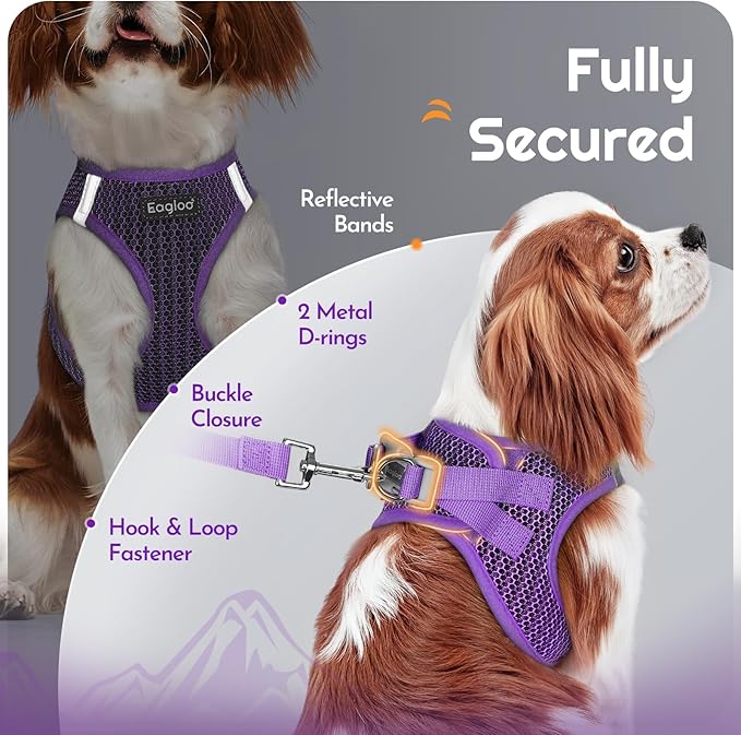 Eagloo Small Dog Harness and Leash Set, Step in Puppy Vest with Breathable Soft Mesh, Walking Reflective Pet Harness for Small Dogs, Purple, XXS