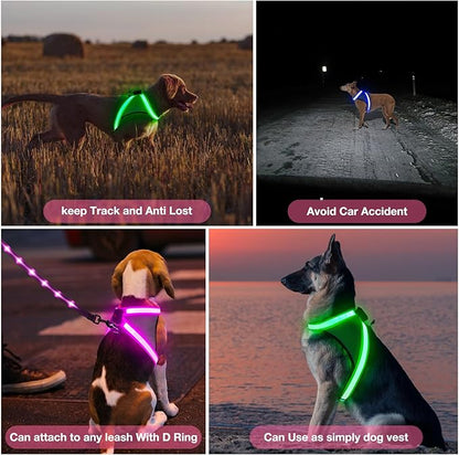 ChalkLit Light Up Dog Harness, No Pull Led Dog Harness Glow-in-The-Dark for Night Walking, USB Rechargeable Lighted Safety Vest for Medium Large Dogs, Adjustable Soft Mesh Fully Illuminated (Pink, M)