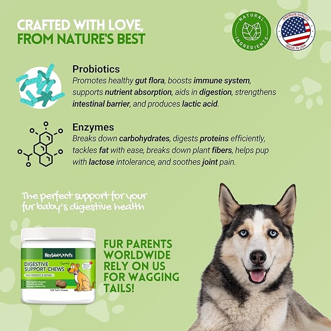 Herbion Pets Digestive Support Chews with Probiotics & Enzymes, 120 Soft Chews, with Daily Digestive Enzymes, for Improved Gut Health, Minimum 2 Billion CFUs, Made in USA for Dogs 12 Weeks+, Pack 1