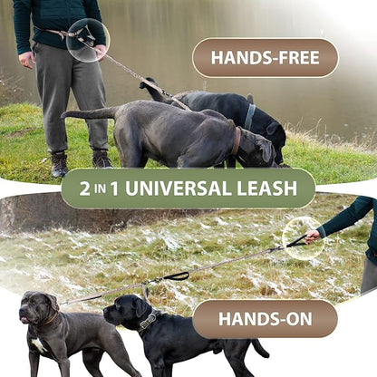 SparklyPets Hands Free Double Dog Leash – Dual Leash for Medium and Large Breeds – Lead for 2 Dogs with Padded Handles, Reflective Stitches, No Pull, Tangle Free (Brown)
