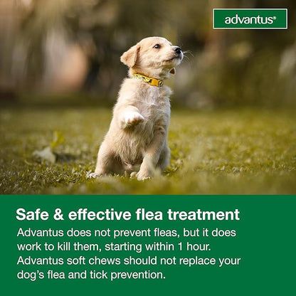 Advantus Dog Fast Acting Oral Flea Treatment Soft Chewable 4 - 22 lbs. | 7 ct.