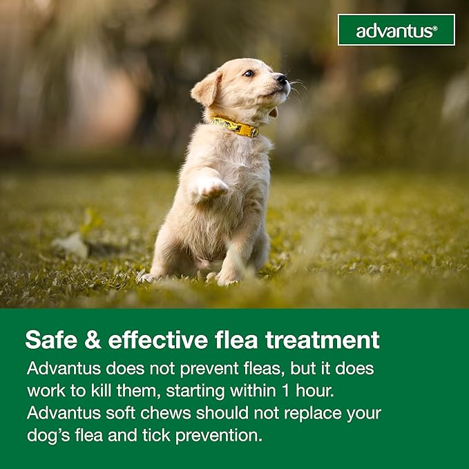 Advantus Dog Fast Acting Oral Flea Treatment Soft Chewable 4 - 22 lbs. | 30 ct.