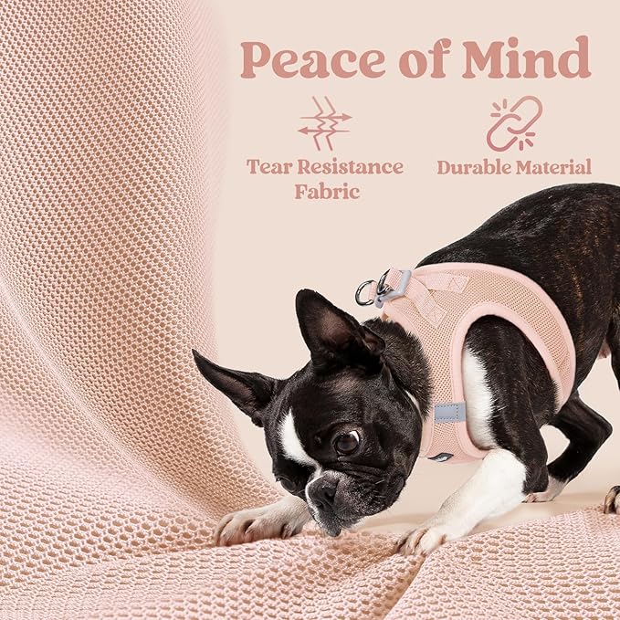 rabbitgoo Small Dog Harness, Step-in Soft Mesh Puppy Vest with Safety Buckle, Breathable Reflective Pet Harness for Large Dogs, Pink XXL