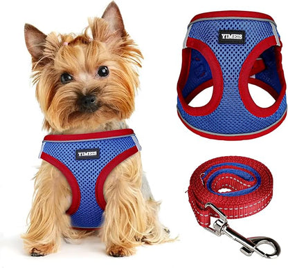 Dog Harness for Small Dogs and Leash Set, Honeycomb Grid, Reflective Lightweight Harness & Anti-Twist Pet Lead Multi Color, Size: XS-S-M. (XS, Red & Blue)