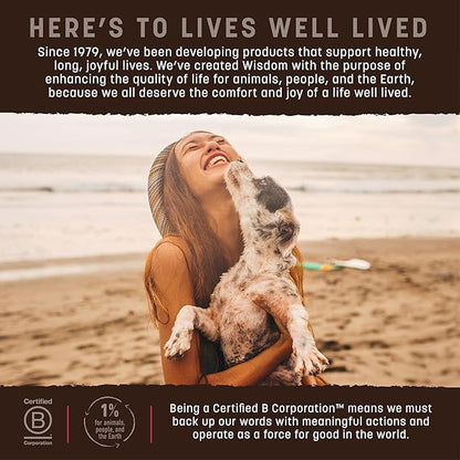 Earth Animal Wisdom Air Dried Jerky - From the Land Recipe Premium Natural Red Meat Jerky Strips Dog Treats - 3 Pack 4 oz Bag